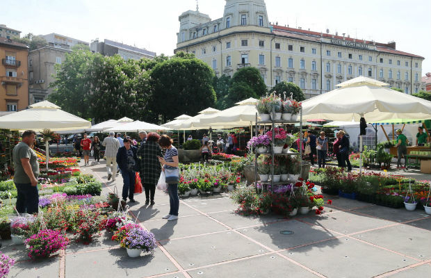 sajam-cvijeca1